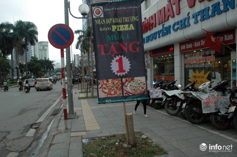 Người dân bất ngờ với hàng cây xanh trên đường Nguyễn Chí Thanh - ảnh 8