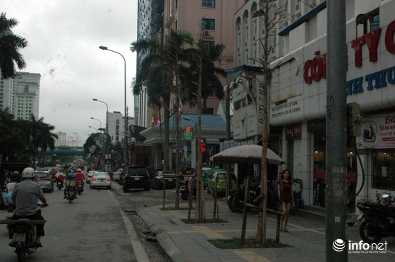 Người dân bất ngờ với hàng cây xanh trên đường Nguyễn Chí Thanh - ảnh 3