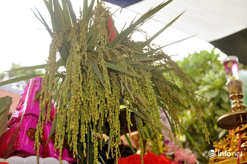 Biển người nô nức đến xem hội “Làng cốm Mễ Trì” - ảnh 8