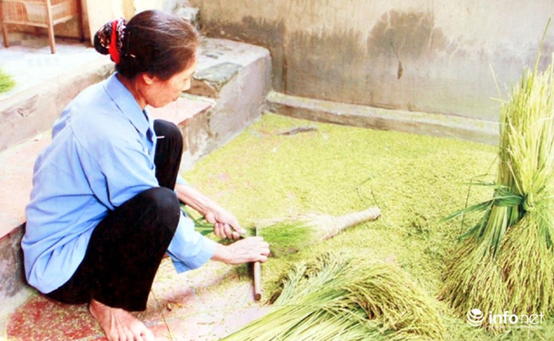 Biển người nô nức đến xem hội “Làng cốm Mễ Trì” - ảnh 12