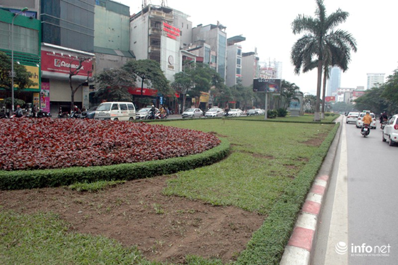Cây xanh, thảm cỏ trên tuyến đường đẹp nhất Thủ đô bị san bằng - ảnh 3