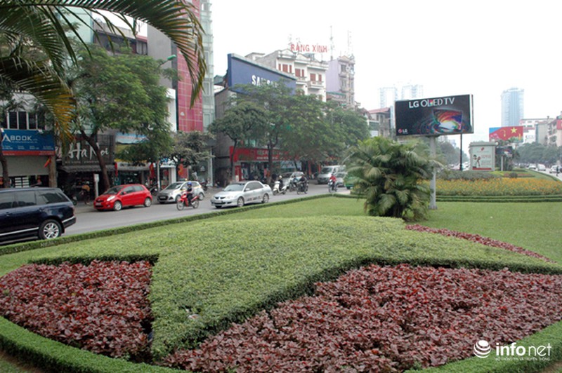 Cây xanh, thảm cỏ trên tuyến đường đẹp nhất Thủ đô bị san bằng - ảnh 5