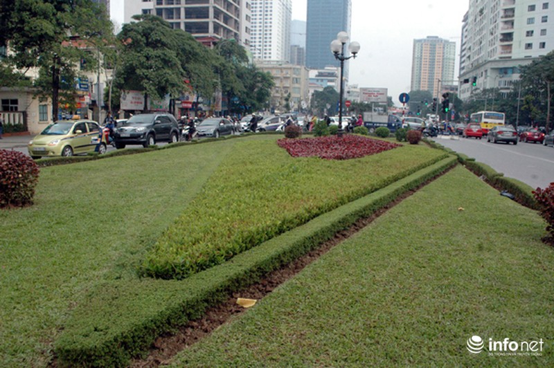 Cây xanh, thảm cỏ trên tuyến đường đẹp nhất Thủ đô bị san bằng - ảnh 6
