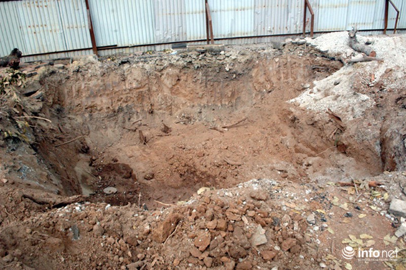 Hà Nội: Loạt cây cổ thụ đường Láng chính thức bị đốn hạ - ảnh 12