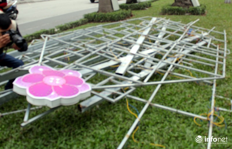 Trang trí hoa đào trên đường đẹp nhất Thủ đô: Chưa xong đã dỡ - ảnh 11