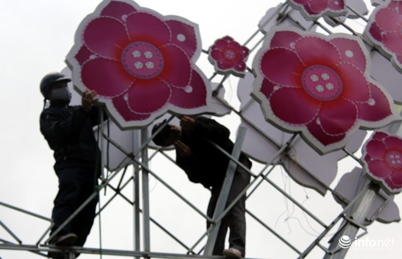 Trang trí hoa đào trên đường đẹp nhất Thủ đô: Chưa xong đã dỡ - ảnh 3