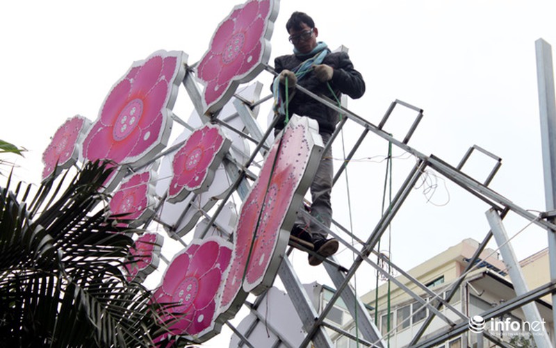 Trang trí hoa đào trên đường đẹp nhất Thủ đô: Chưa xong đã dỡ - ảnh 6