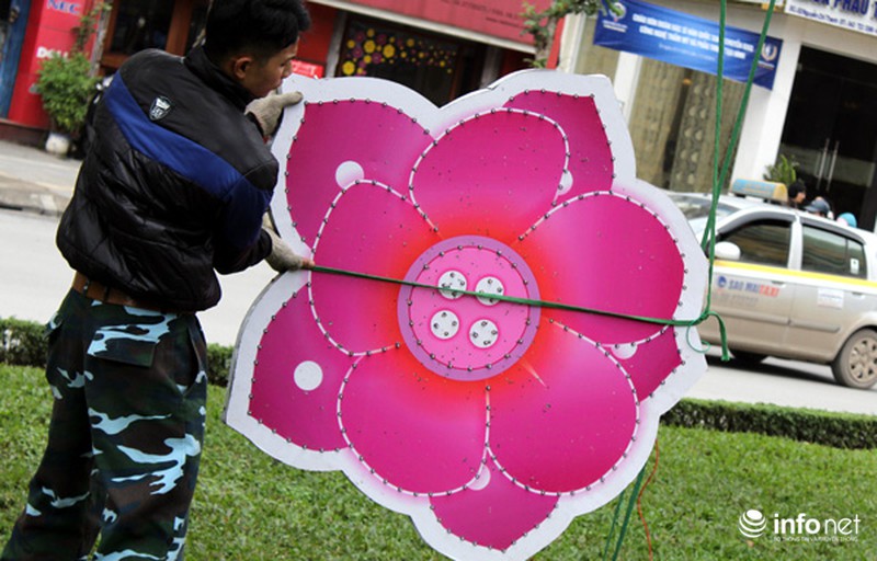 Trang trí hoa đào trên đường đẹp nhất Thủ đô: Chưa xong đã dỡ - ảnh 7