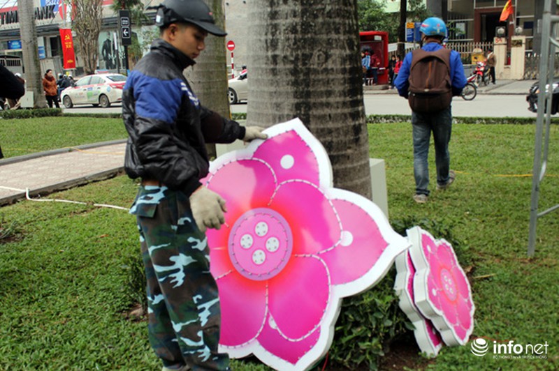 Trang trí hoa đào trên đường đẹp nhất Thủ đô: Chưa xong đã dỡ - ảnh 8