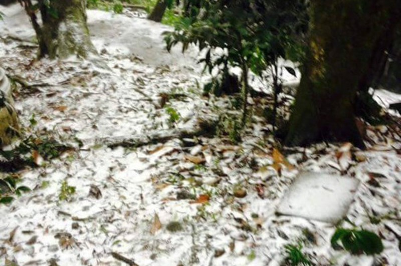 Hà Nội tuyết rơi thành bông như ở Sapa - ảnh 7