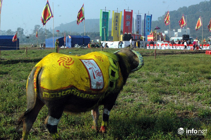 Trâu cày Tịch Điền trang trí hình chú khỉ “đi mây về gió” - ảnh 8