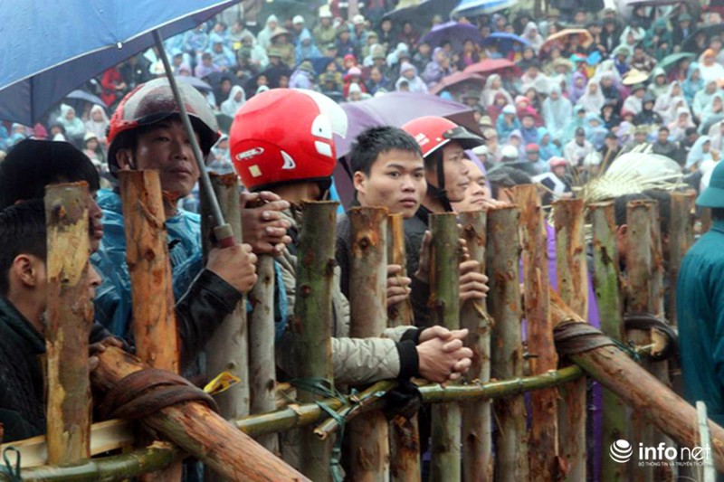 Biển người xem 32 ông cầu ở sới chọi - ảnh 4