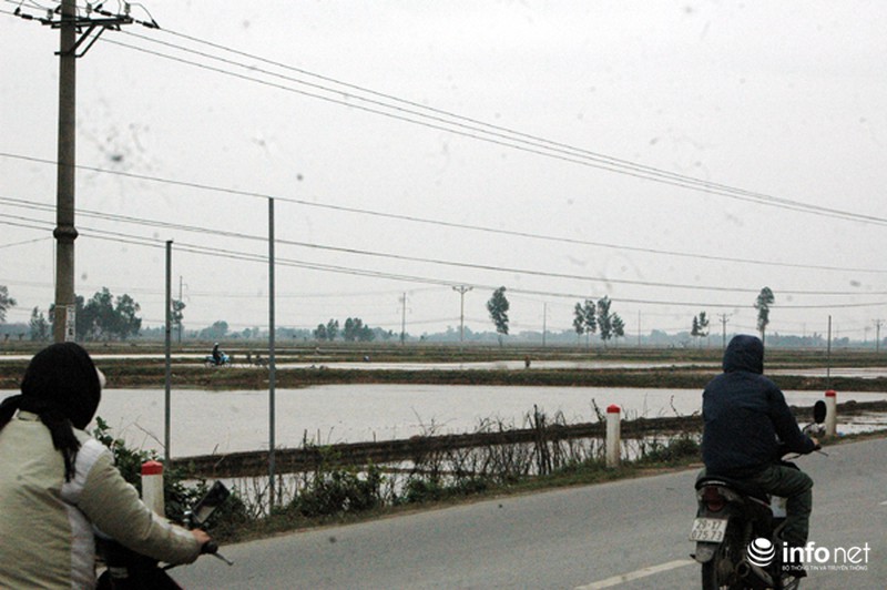 Người tham gia giao thông “vượt bờ ruộng” tránh CSGT bắn tốc độ - ảnh 2