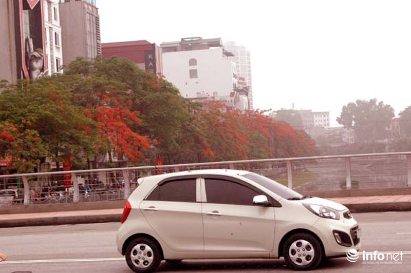 Hà Nội đẹp ngỡ ngàng màu hoa phượng đỏ - ảnh 4