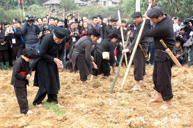 Những hình ảnh