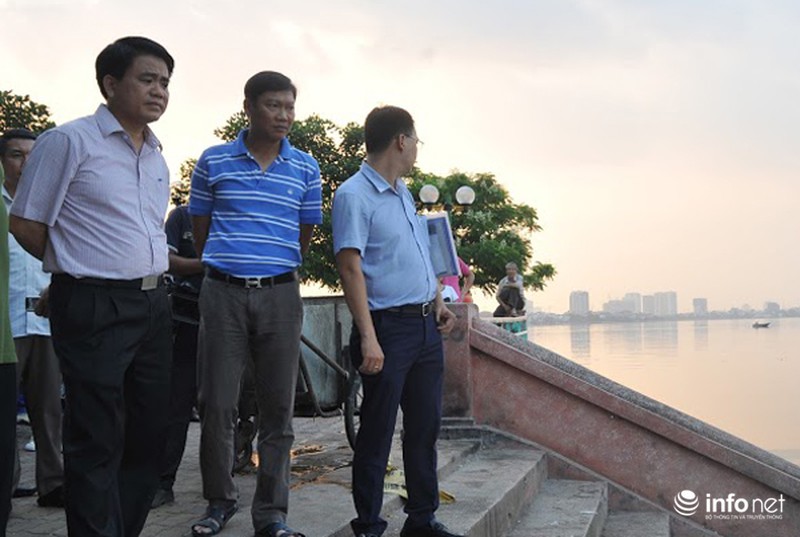 Chủ tịch UBND Hà Nội trực tiếp chỉ đạo xử lý vụ cá chết ở hồ Tây - ảnh 1