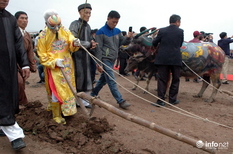 Cụ ông gần 90 tuổi hóa trang thành nhà vua cày ruộng khai xuân - ảnh 16