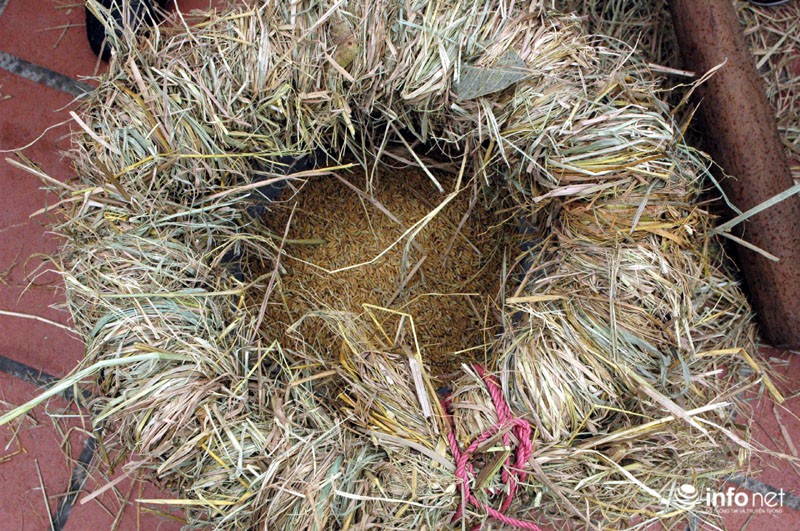 Người Hà Nội thi kéo lửa nấu cơm cầu may đầu xuân - ảnh 4