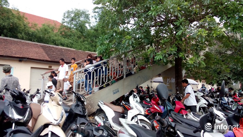 Dòng người “bủa vây” Thiên đường Bảo Sơn, vườn thú Thủ Lệ - ảnh 5