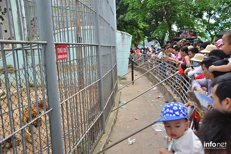 Dòng người “bủa vây” Thiên đường Bảo Sơn, vườn thú Thủ Lệ - ảnh 18
