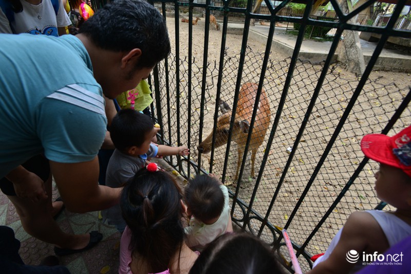 Dòng người “bủa vây” Thiên đường Bảo Sơn, vườn thú Thủ Lệ - ảnh 21