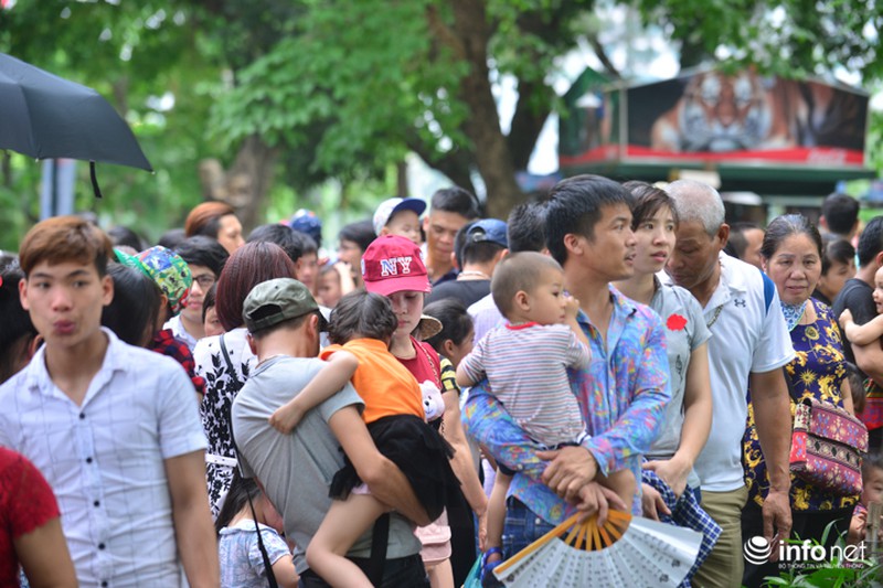 Dòng người “bủa vây” Thiên đường Bảo Sơn, vườn thú Thủ Lệ - ảnh 14