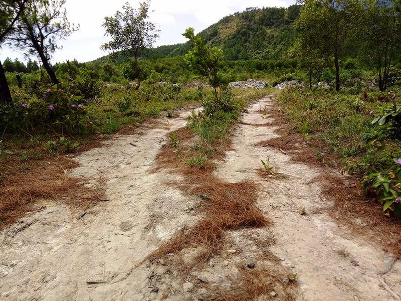 Hà Tĩnh: Phát hiện hàng trăm tấn rác thải có chữ Trung Quốc đổ vào rừng - ảnh 3