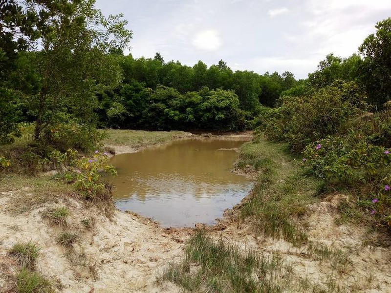 Hà Tĩnh: Phát hiện hàng trăm tấn rác thải có chữ Trung Quốc đổ vào rừng - ảnh 4