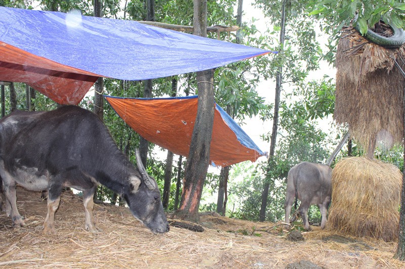 Hà Tĩnh: Hàng loạt hồ chứa đang xả lũ, hơn 1.000 hộ dân bị ngập - ảnh 10