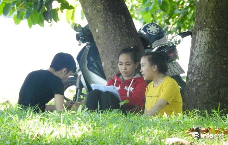 Miền Trung: Nắng nóng, gió Lào bỏng rát, người dân thắp đèn ra đồng từ 4h sáng - ảnh 11
