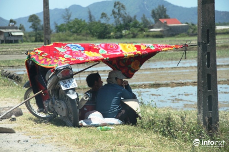 Miền Trung: Nắng nóng, gió Lào bỏng rát, người dân thắp đèn ra đồng từ 4h sáng - ảnh 6