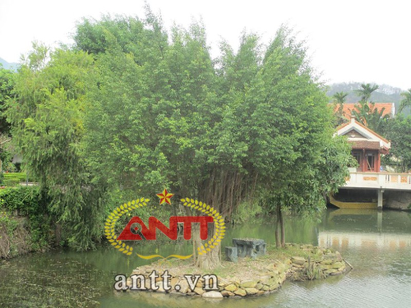 Làng biệt thự nguy nga ở Xóm Núi - ảnh 11