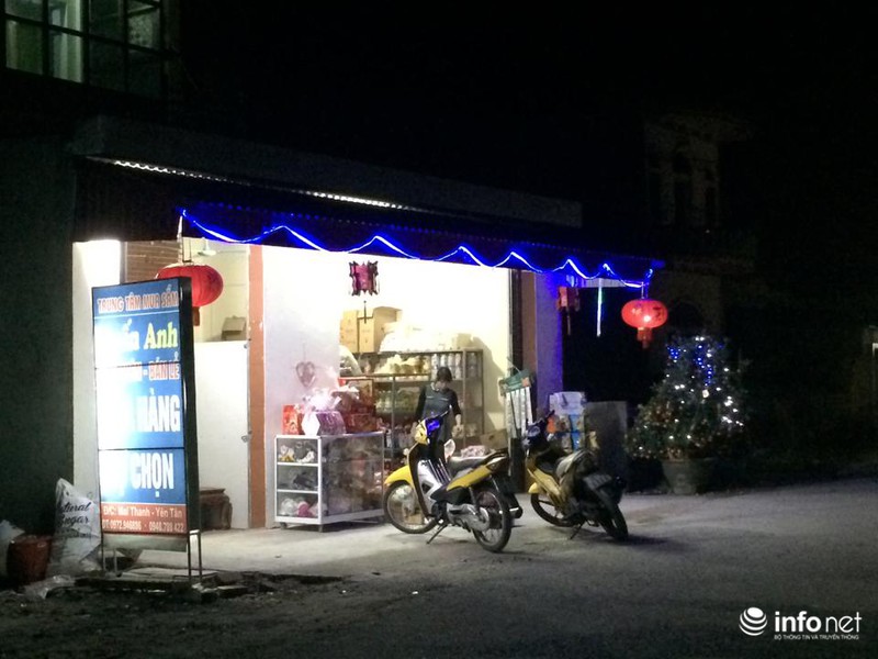 Trực tuyến: Không khí đón năm mới Ất Mùi - 2015 của người Việt ở năm châu - ảnh 30