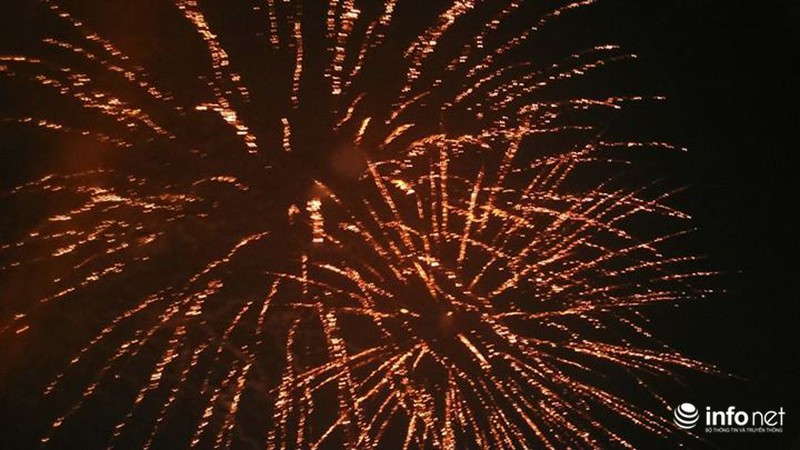 Trực tuyến: Không khí đón năm mới Ất Mùi - 2015 của người Việt ở năm châu - ảnh 5