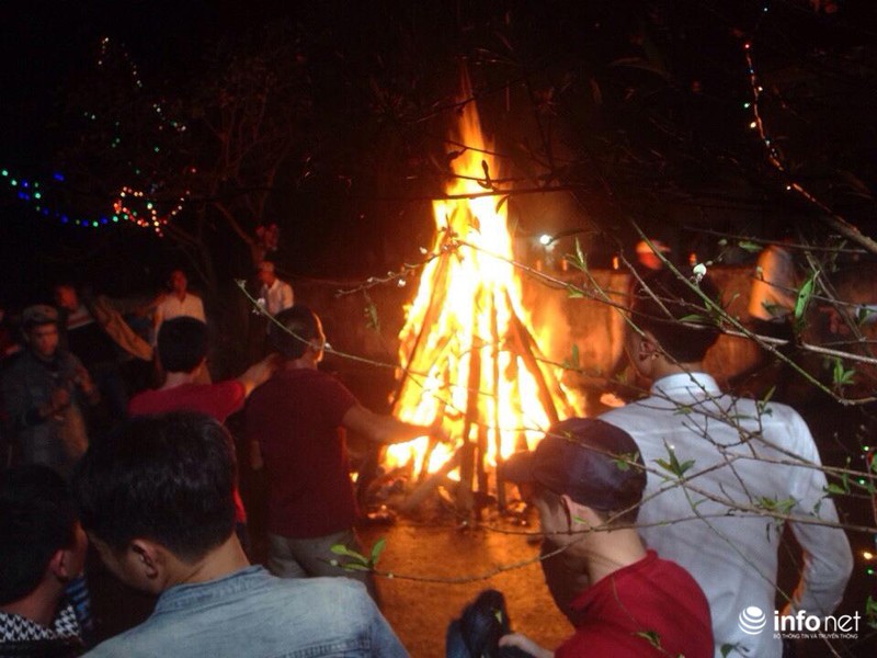 Trực tuyến: Không khí đón năm mới Ất Mùi - 2015 của người Việt ở năm châu - ảnh 34