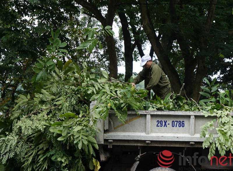 Những người không nghỉ để làm đẹp Thủ đô ngày 10/10 - ảnh 5