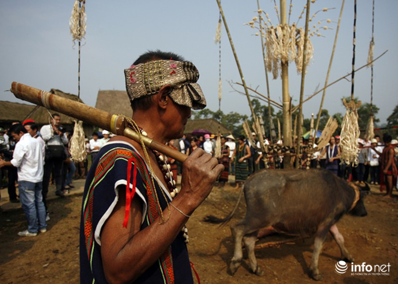 Cận cảnh lễ tế thần Việt Nam: Lễ chém trâu của người Brâu - ảnh 2