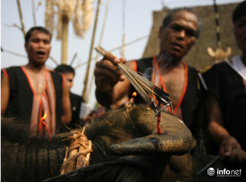 Cận cảnh lễ tế thần Việt Nam: Lễ chém trâu của người Brâu - ảnh 7