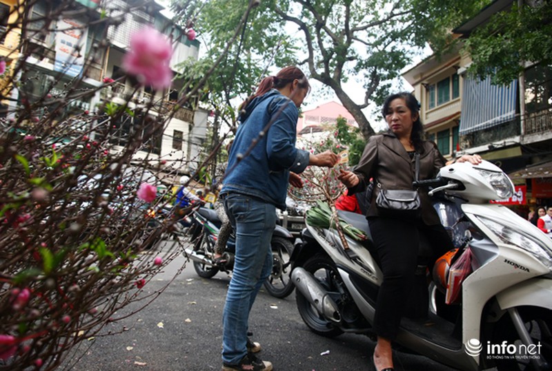 Hoa đào bắt đầu tràn về phố - ảnh 9