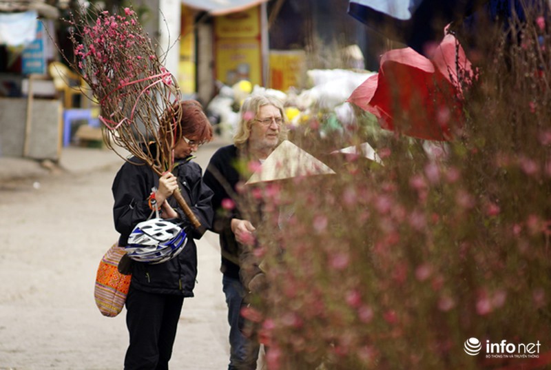 Hoa đào bắt đầu tràn về phố - ảnh 7