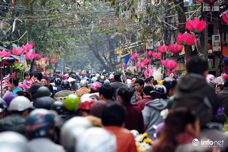 Chen chân dạo chợ hoa Hàng Lược ngày cuối năm - ảnh 1