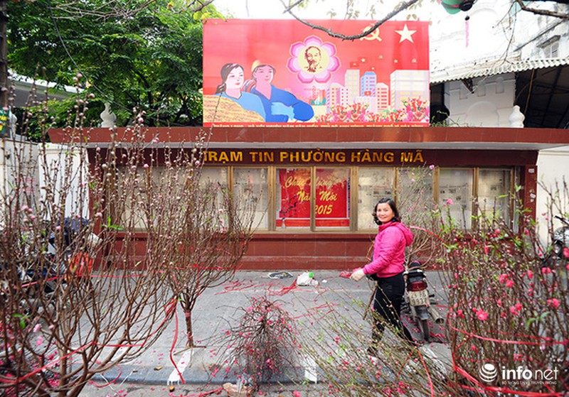 Chen chân dạo chợ hoa Hàng Lược ngày cuối năm - ảnh 7