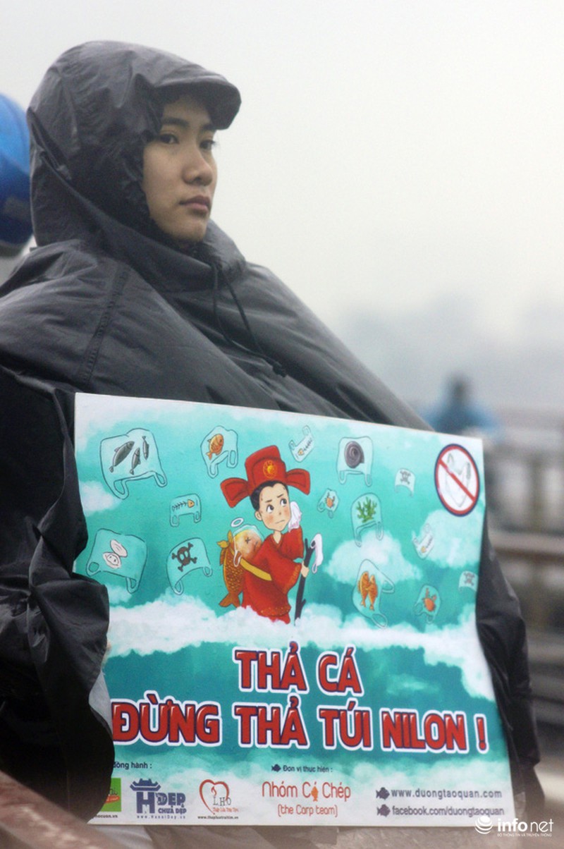 Bạn trẻ đắm mình trong mưa rét cứu cá chép - ảnh 2