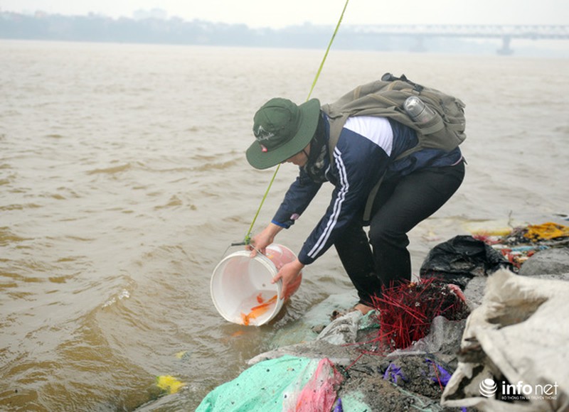 Bạn trẻ đắm mình trong mưa rét cứu cá chép - ảnh 9