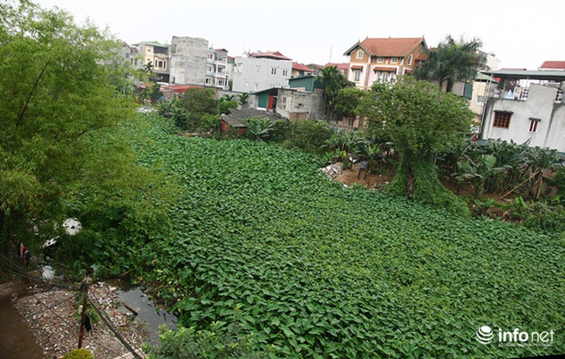 Khốn khổ vì