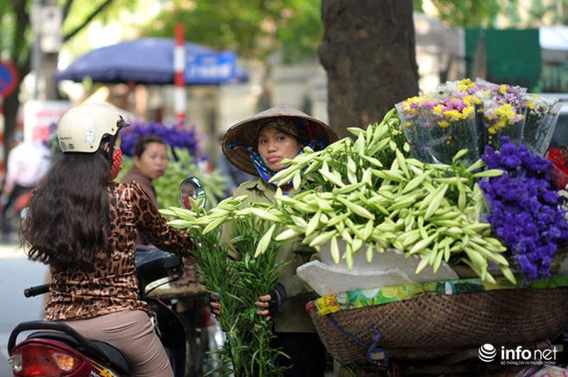 Hoa loa kèn xuống phố sớm - ảnh 9