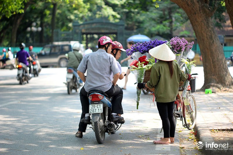 Hoa loa kèn xuống phố sớm - ảnh 10