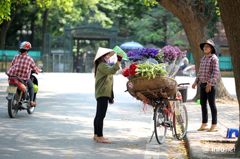 Hoa loa kèn xuống phố sớm - ảnh 3