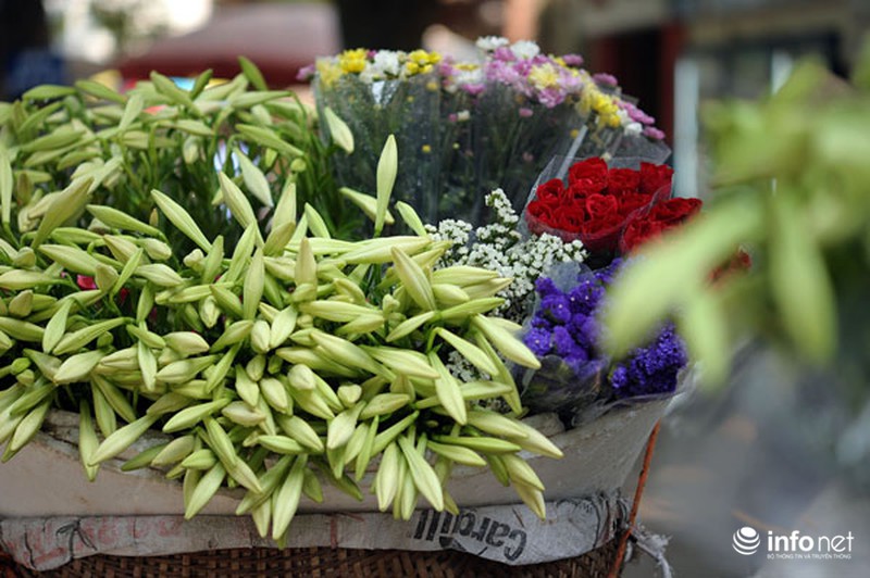 Hoa loa kèn xuống phố sớm - ảnh 6