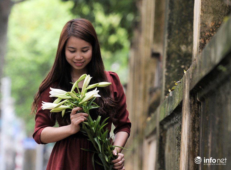 Hoa loa kèn xuống phố sớm - ảnh 8
